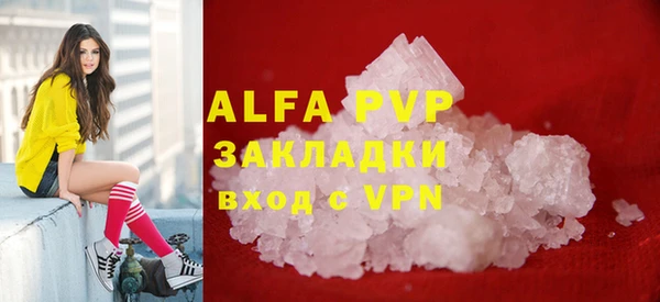 крисы Магадан