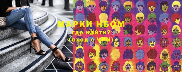 крисы Магадан