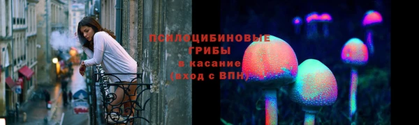 крисы Магадан