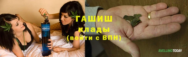 крисы Магадан