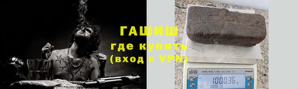 крисы Магадан